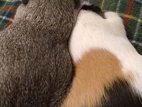 2020-10-08-23-31-24 Harriet and Emily love each other.jpg